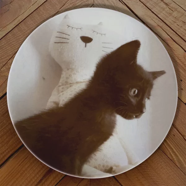 Plato foto mascota - Imagen 2