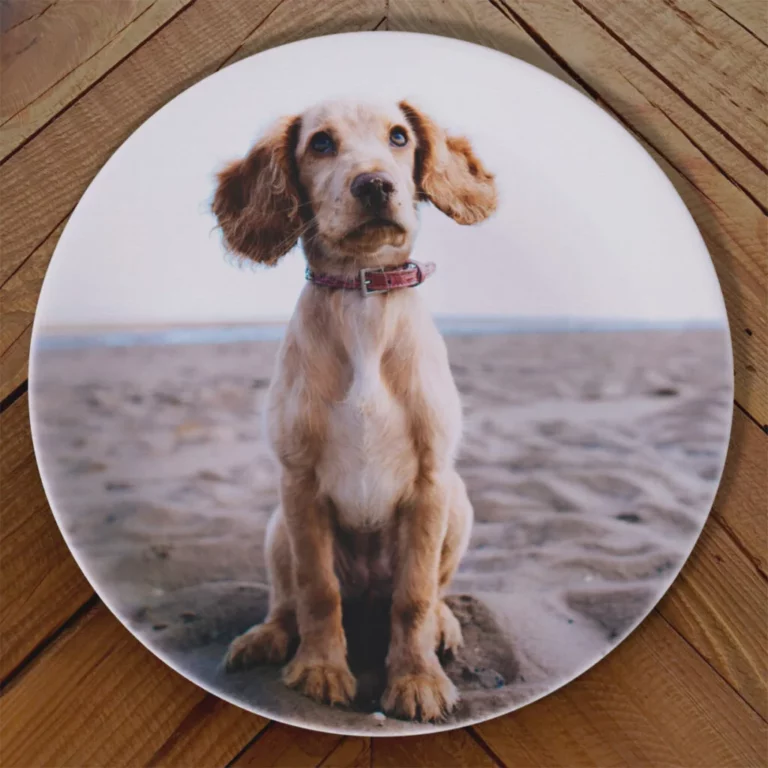 Soportes para platos personalizados con foto, texto, homenaje.