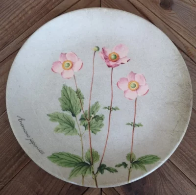 DELIA - Anemone