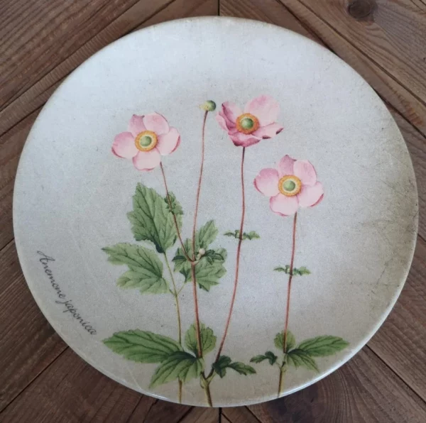 DELIA - Anemone