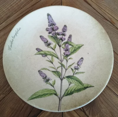 DELIA - Mentha