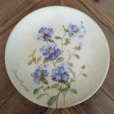 DELIA - Plumbago