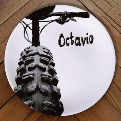 Plato Personalizado - MTB Rider